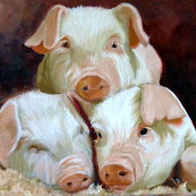 Oil Paintings of Animals