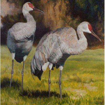 Oil Paintings of Birds
