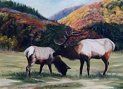 Original Oil Painting of 2 elk in Smoky Mountains