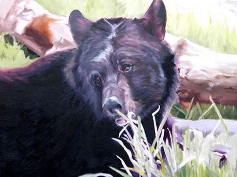 Original Oil Painting of American Black Bear head & shoulders