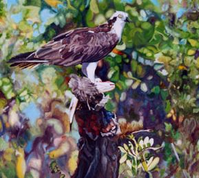 Original oil painting of perched Osprey