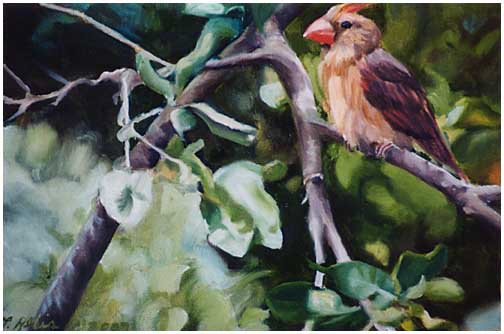 Original oil painting of young Northern Cardinal