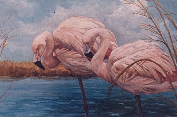 Original oil painting of pink American Flamingoes