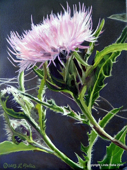 Original oil painting of thistle